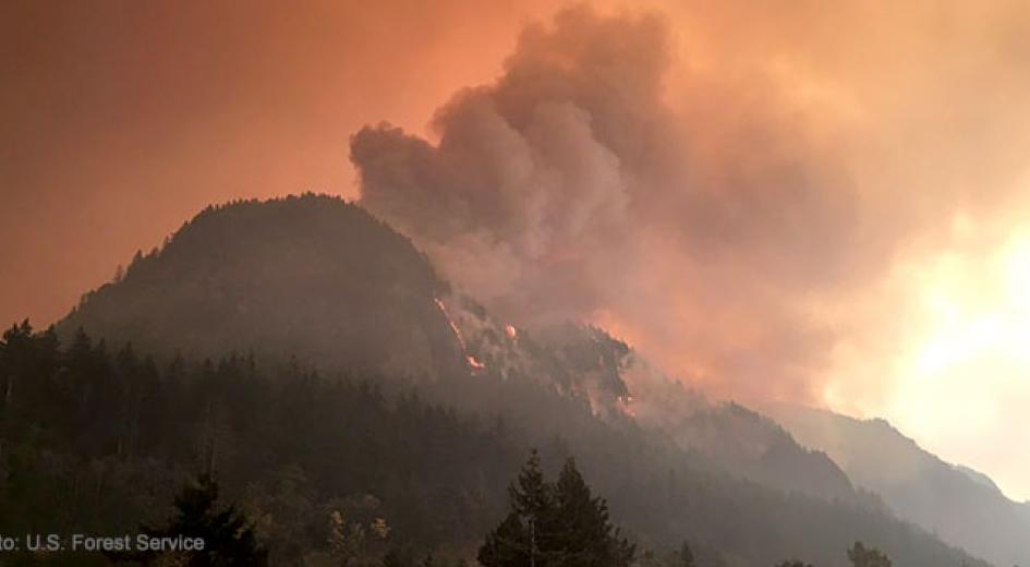 Eagle Creek Fire