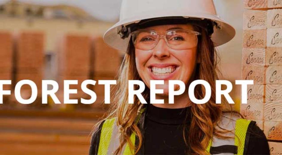 Forest Report