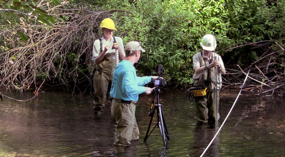 Three scientists in a river