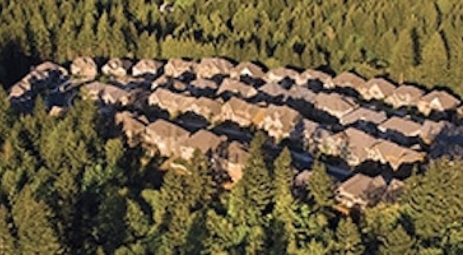 a suburb in a forest