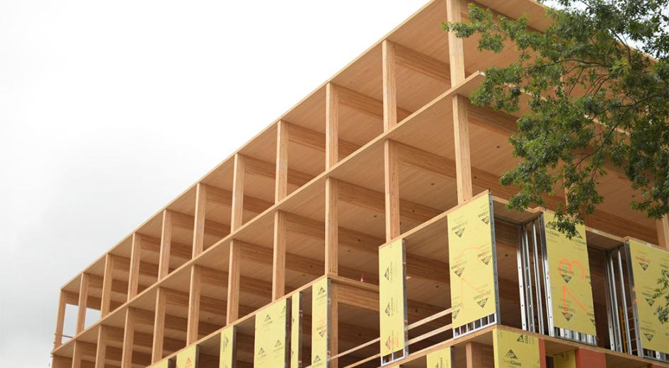 Face of a CLT five-story building