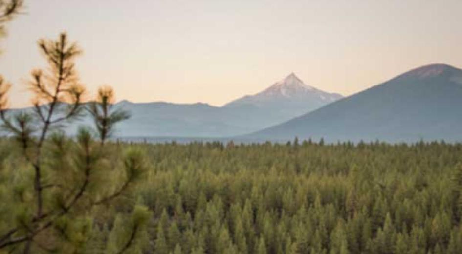 Black Butte