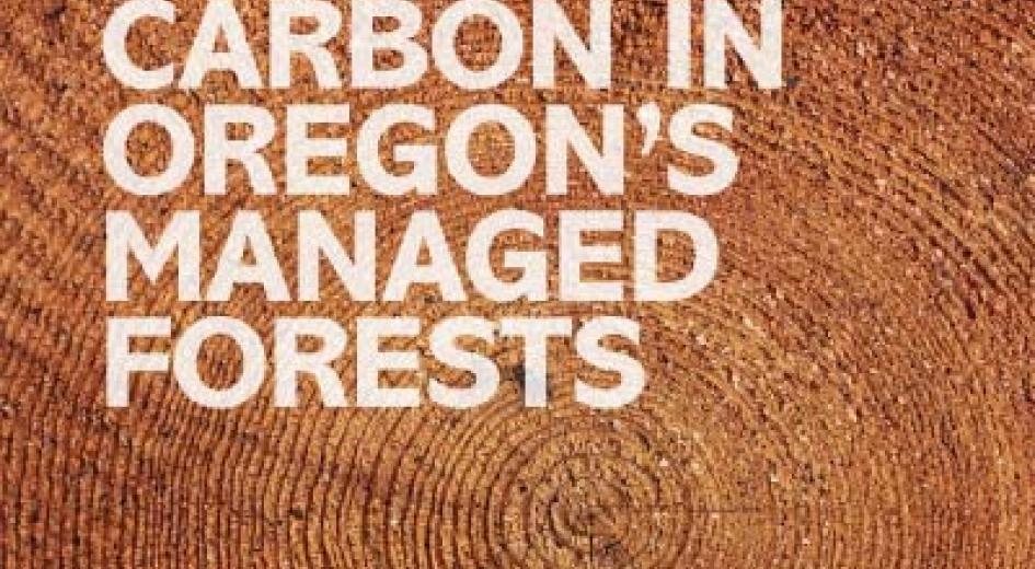 cover of publication