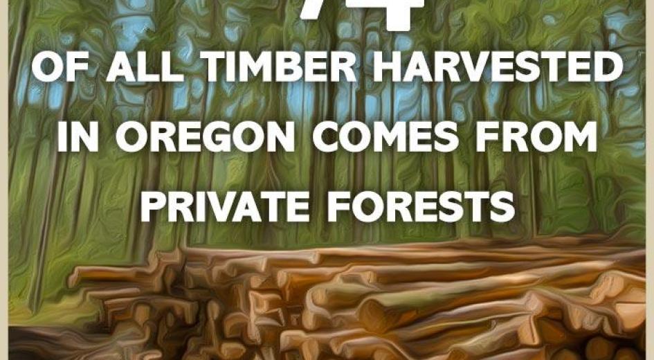 Meme Private Harvest