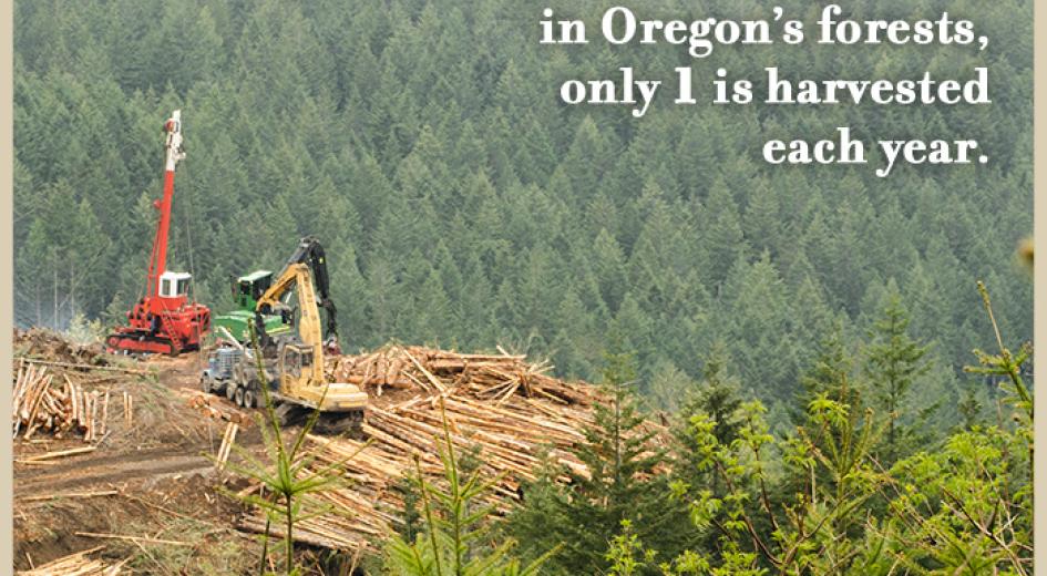 We HARVEST RESPONSIBLY