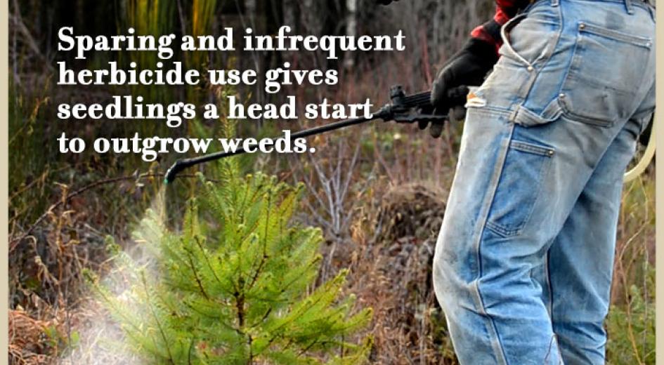 We use HERBICIDES CAREFULLY