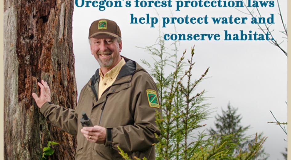 We FOLLOW REGULATION