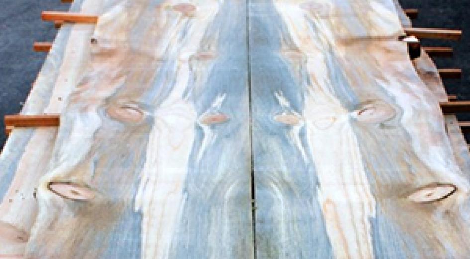 Blue stain pine boards