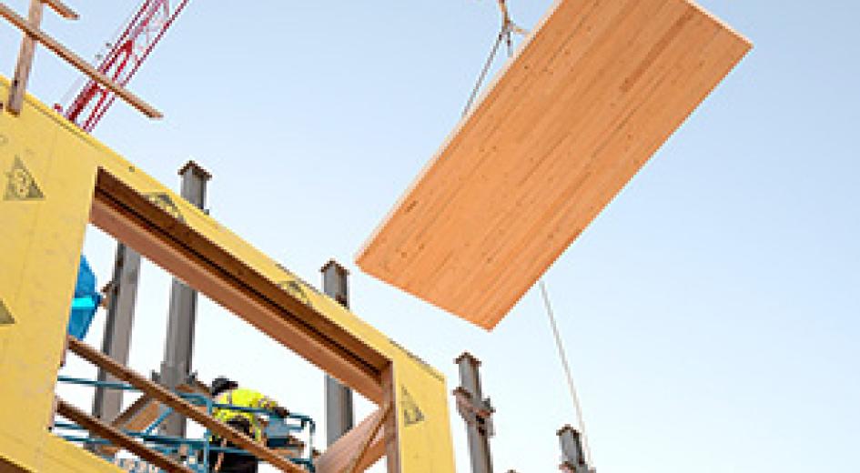 mass timber construction