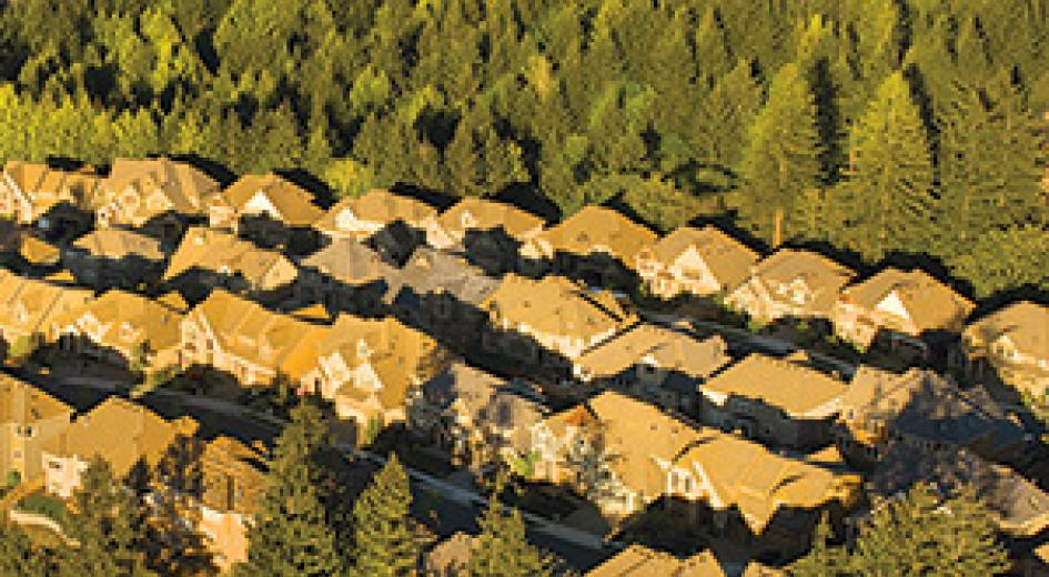 development encroaching on forestland