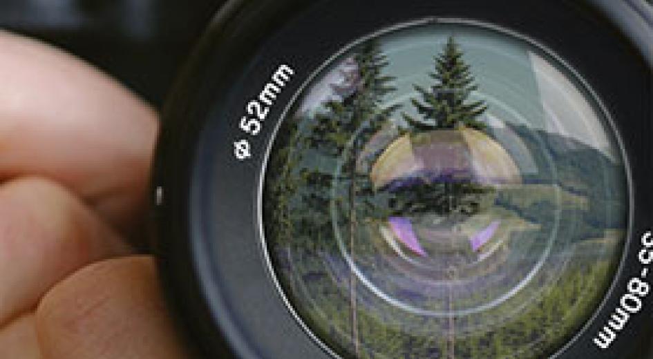 photo gallery card image