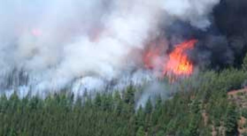 Threats to our forests card