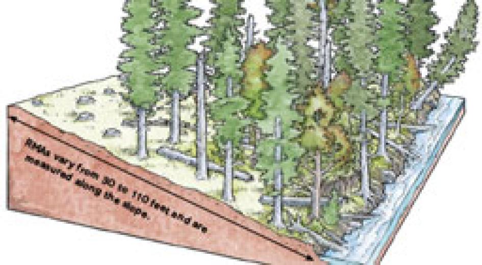 Illustrated Manual 2024 index card