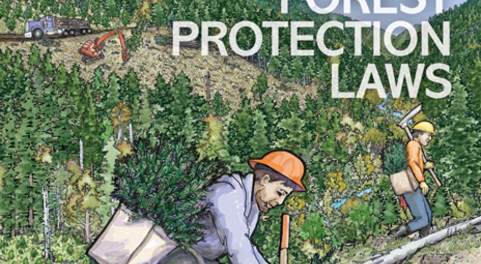 Cover of Illustrated Manual