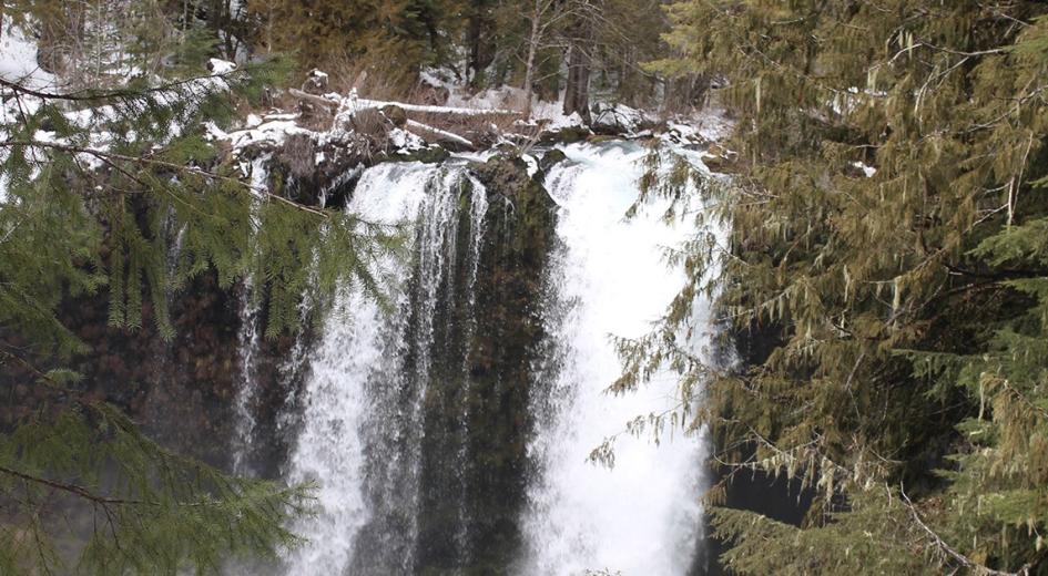 Photo of Koosah Falls