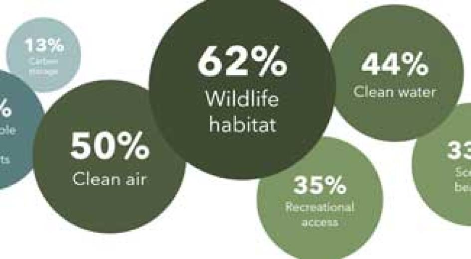 Values and Beliefs Card 2025