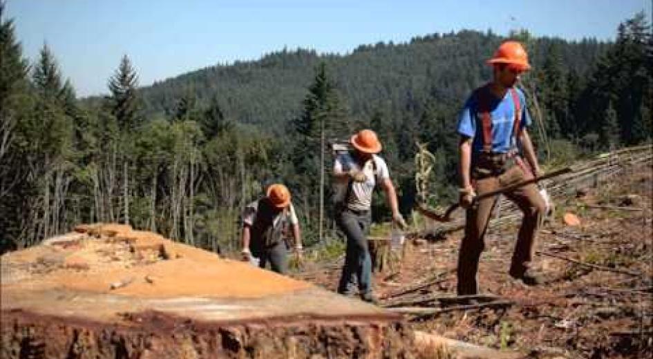 The Oregon Envirothon team at Mt. Allison University in Canada