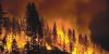 Oregon forests are increasingly prone to large catastrophic fire