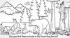 Forest Activity Sheet
