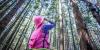 Wildlife biologist in pink vest and hard hat looking up into the trees with binoculars.