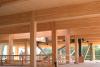 Mass timber interior of construction