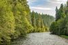 McKenzie River