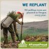 We REPLANT